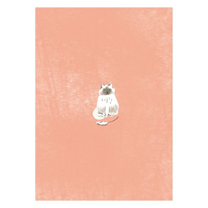 Furukawashiko Mino Washi Book Cover