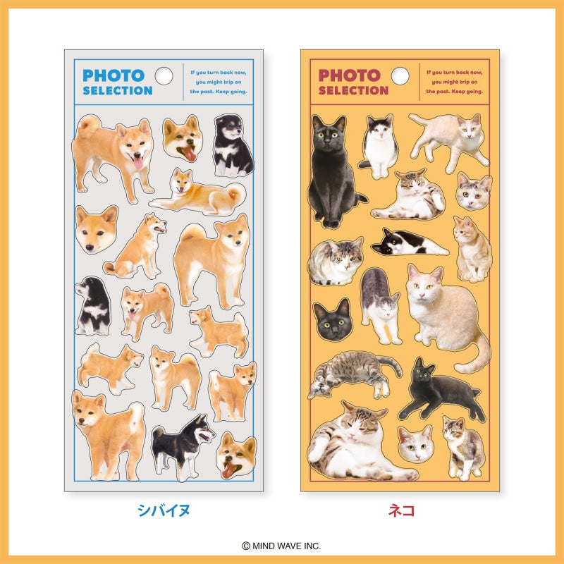 Mind Wave Photo Selection Stickers - Cats