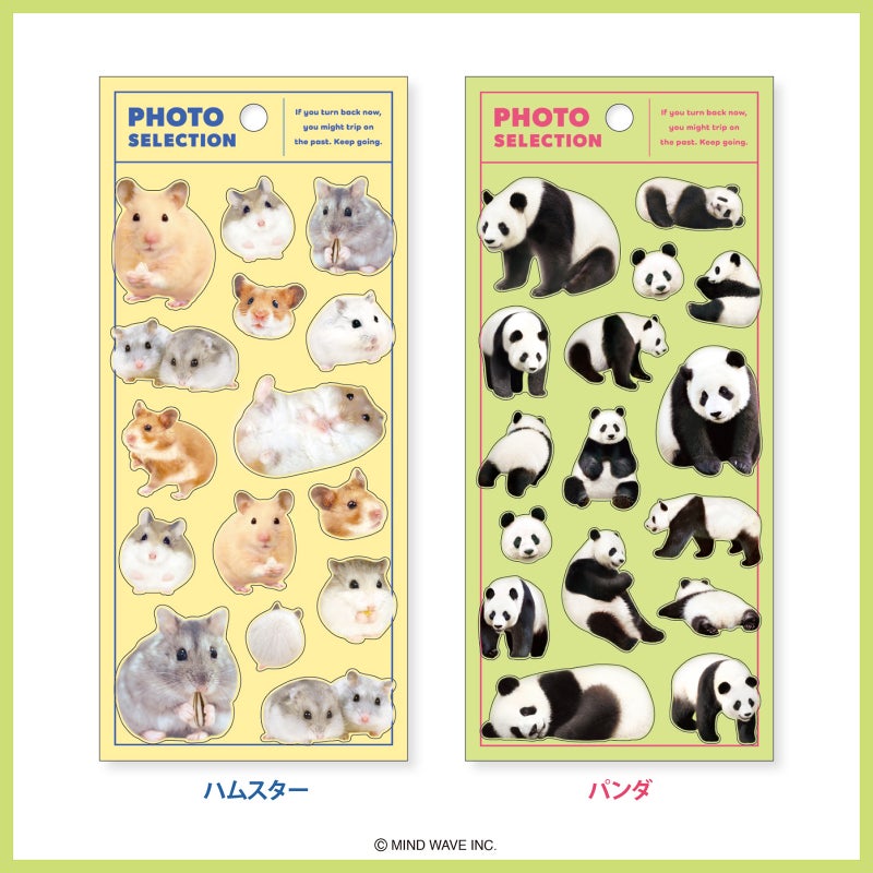 Mind Wave Photo Selection Stickers - Hamster