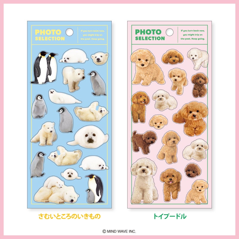 Mind Wave Photo Selection Stickers - Toy Poodle