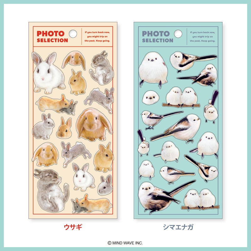 Mind Wave Photo Selection Stickers - Rabbits