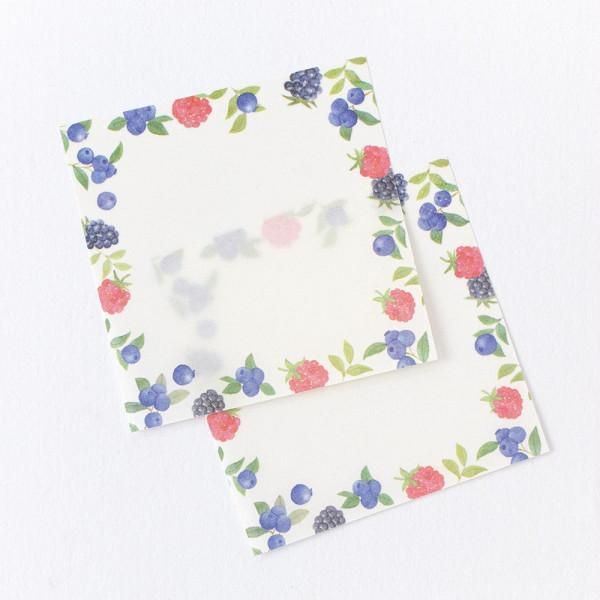 NB Pale Berry Sticky Notes