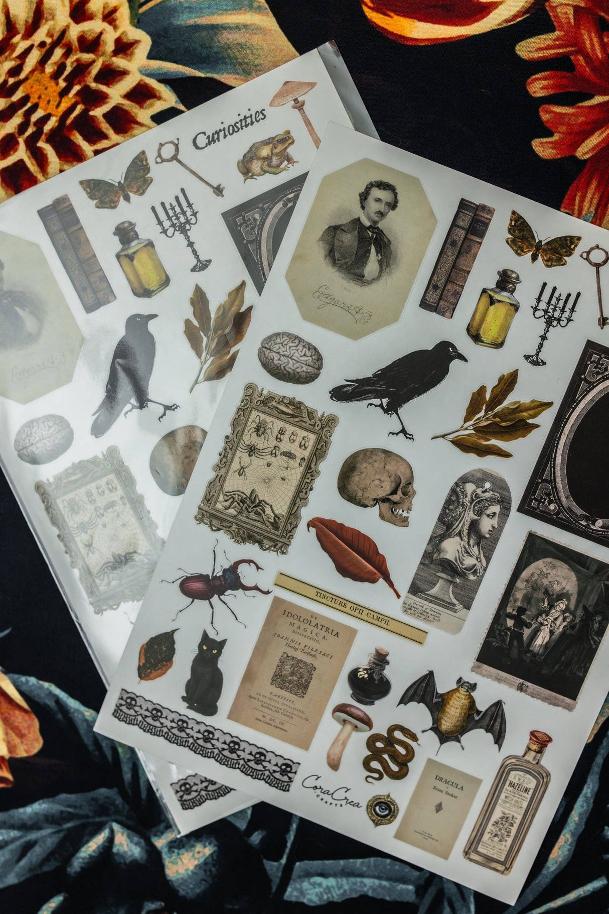 CoraCreaCrafts Curiosities Sticker Sheet