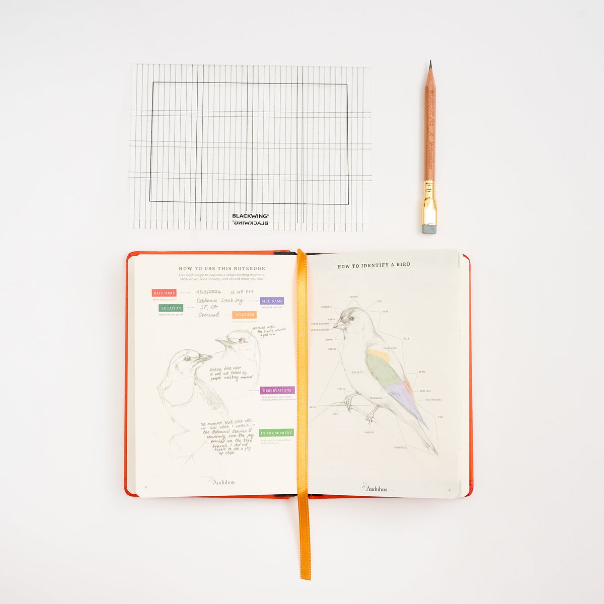 Blackwing x Audubon Birding Journal