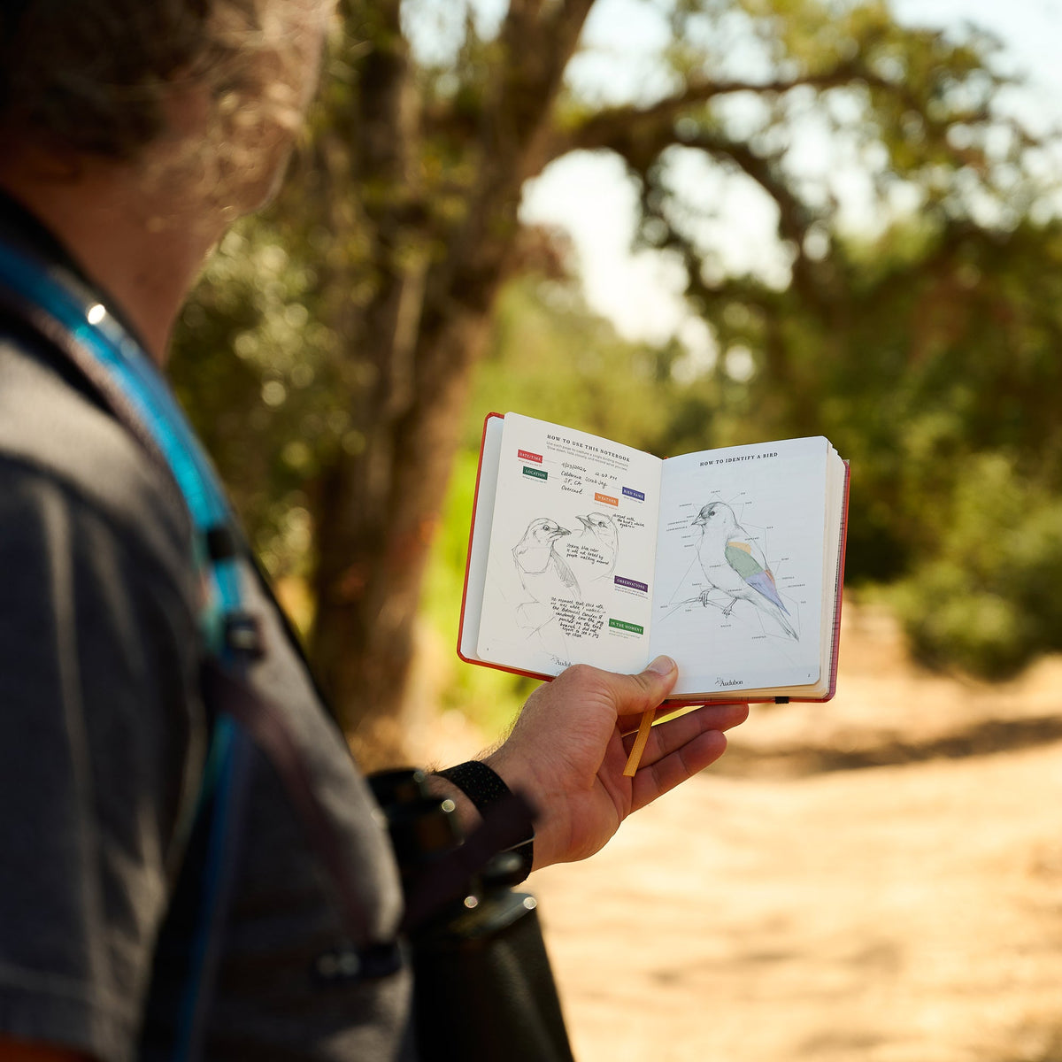 Blackwing x Audubon Birding Journal