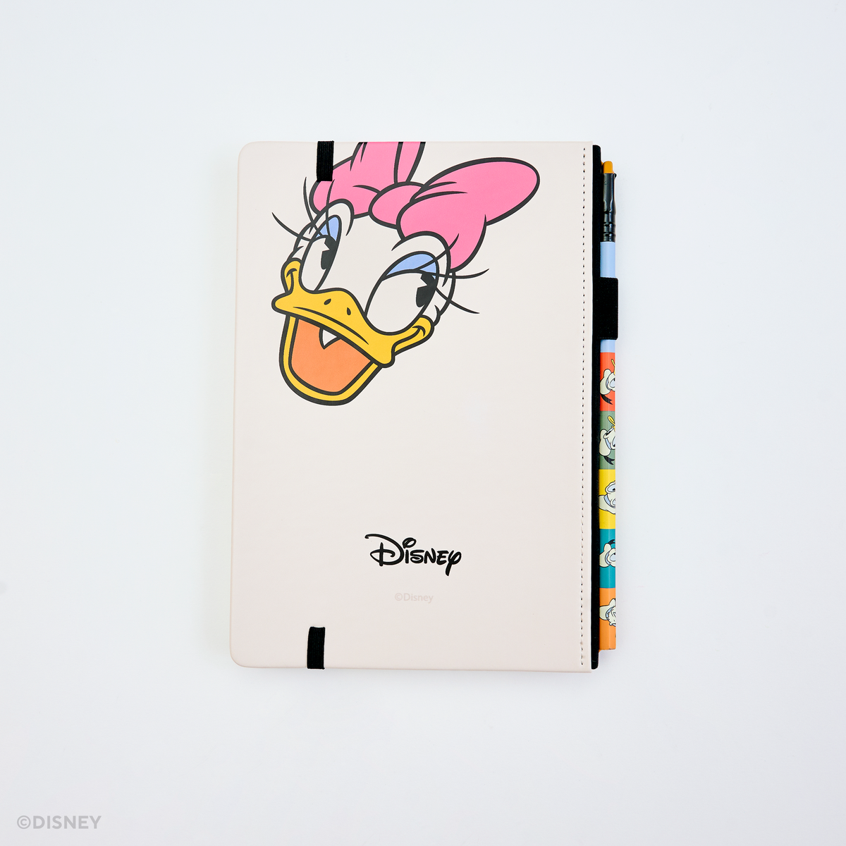 Blackwing x Disney Mickey and Friends - Donald and Daisy Notebook