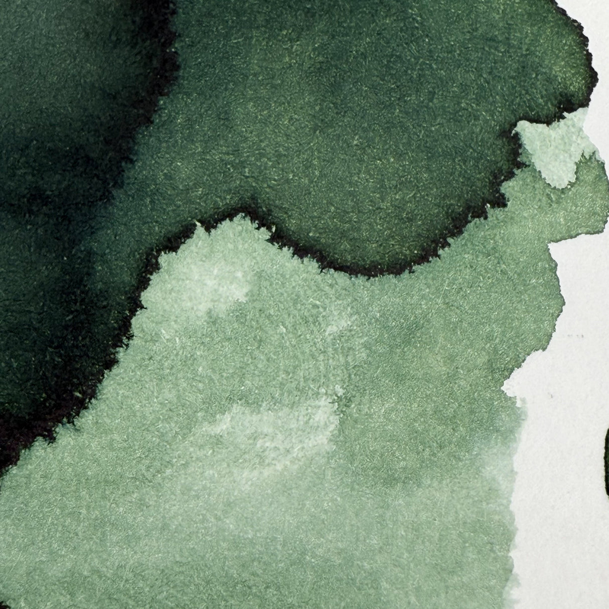 Ferris Wheel Press - Evermore Green - 38ml Bottled Ink