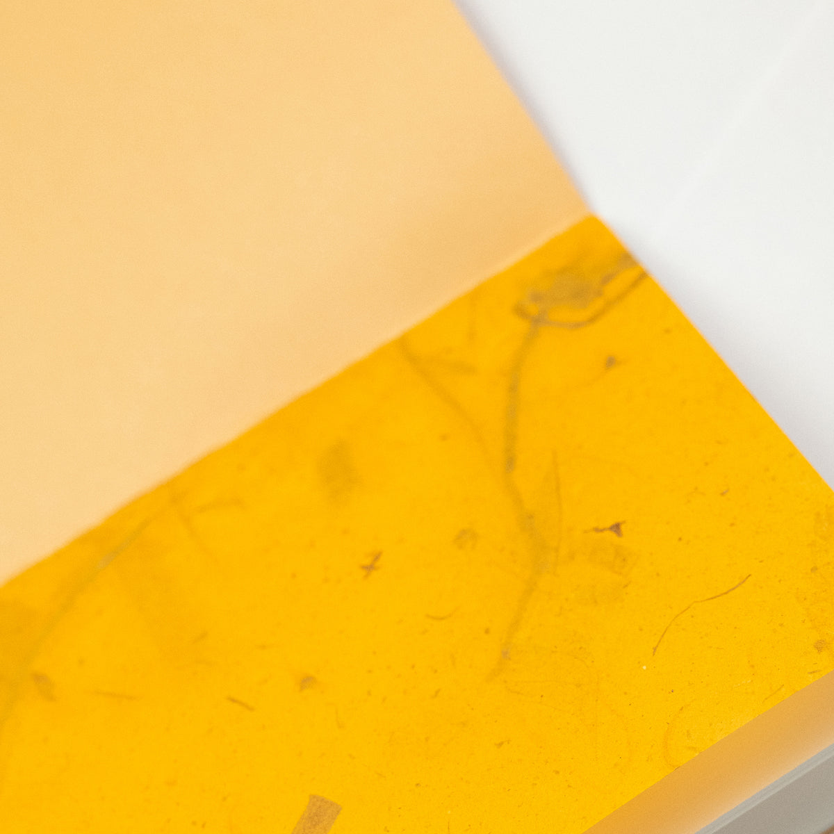 Haley Franker Design Pamphlet Notebook - Blank