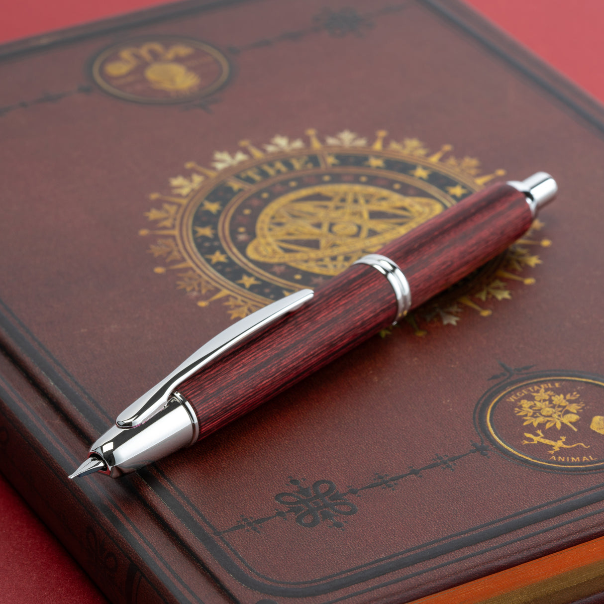 Pilot Vanishing Point Birchwood Fountain Pen - Red