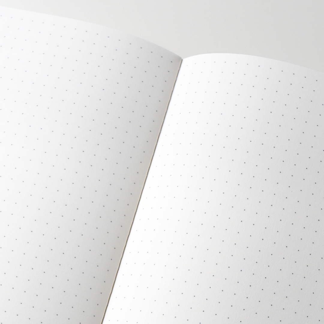 Tomoe River Notebooks B5