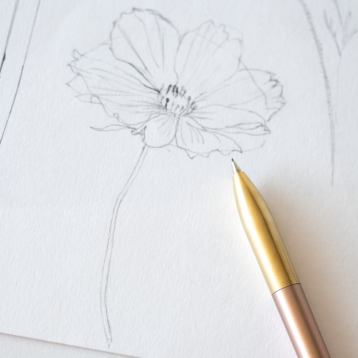 Tom's Studio Mechanical Pencil