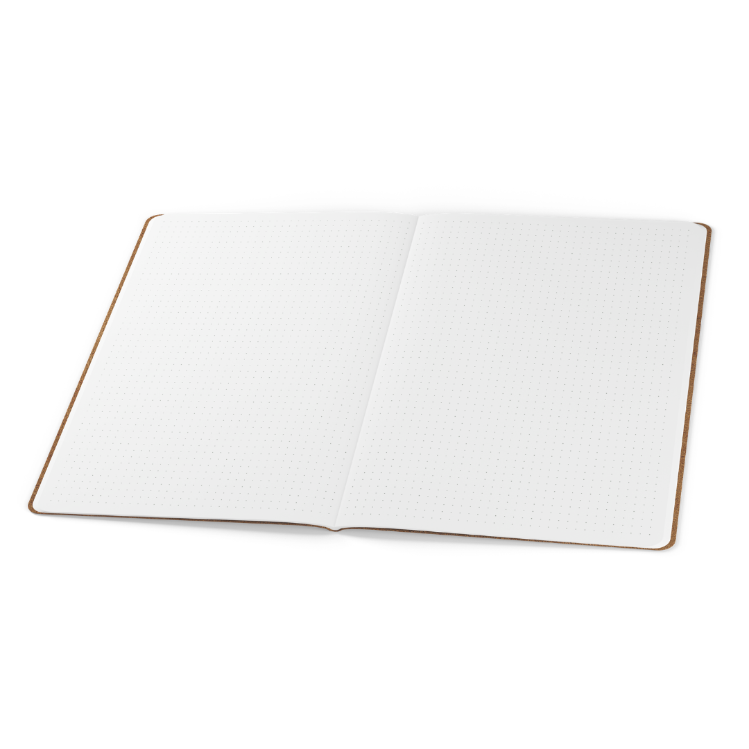Tomoe River Notebooks B5