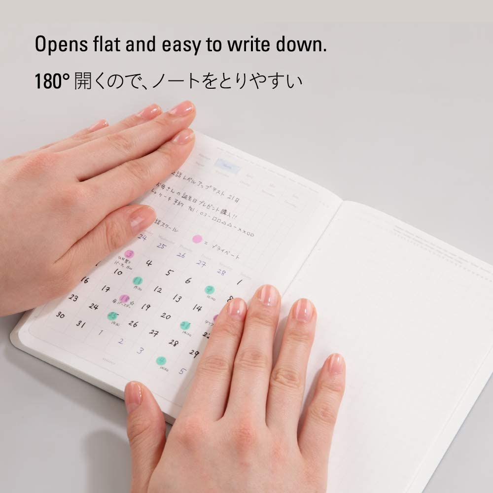 Stalogy 1/2 Year Notebook - A6