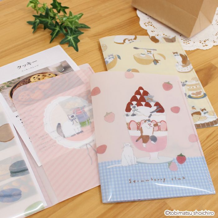 Furukawashiko A5 Clear File - Macaron