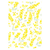 Furukawashiko Mino Washi Book Cover