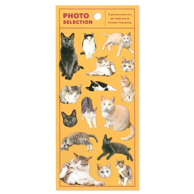 Mind Wave Photo Selection Stickers - Cats