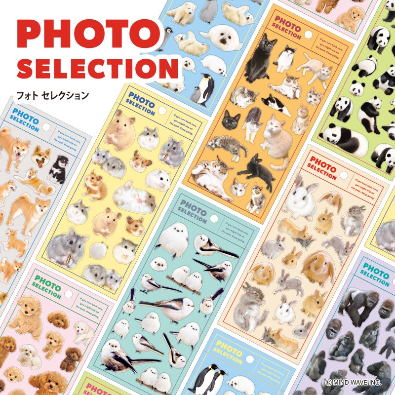 Mind Wave Photo Selection Stickers - Gorilla