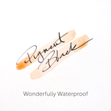 Fountain Pen Ink - Pigment Black