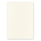 Midori MD Thick Notebook - Plain - A5