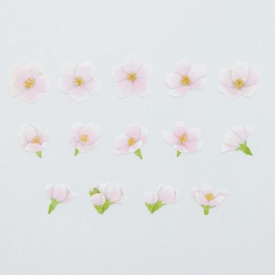Bande Washi Tape Sticker Rolls - Somei-Yoshino Cherry Blossom
