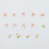 Bande Washi Tape Sticker Rolls - Somei-Yoshino Cherry Blossom