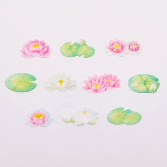 Bande Washi Tape Sticker Rolls - Water Lily