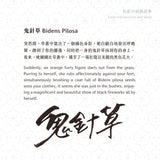 Lennon Tool Bar Bidens Pilosa - 30ml Bottled Ink