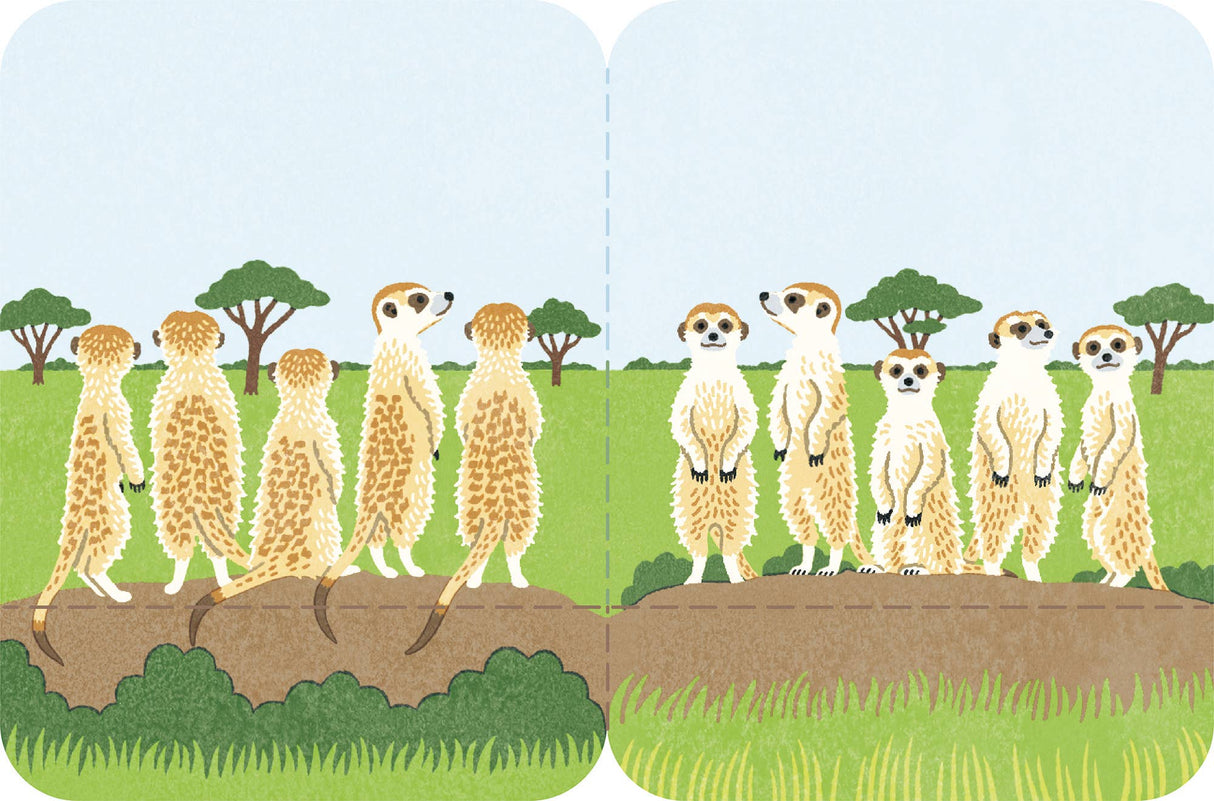 FUTAMATA-FUSEN Decoration Paper Tape  Size L - Meerkat