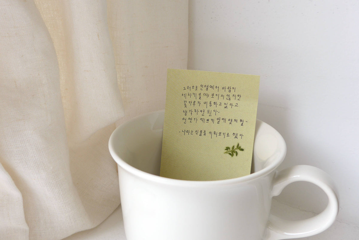 Suatelier Design Stickers - Little Plant Shop