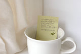 Suatelier Design Stickers - Little Plant Shop