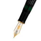 Pelikan Souveran M1000 Fountain Pen - Raden Stardust “Hoshikuzu" (Limited Edition)