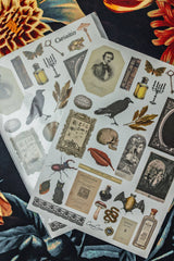 CoraCreaCrafts Curiosities Sticker Sheet