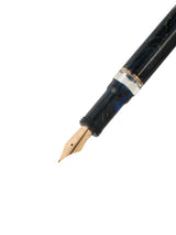 Nahvalur (Narwhal) Horizon Fountain Pen - Nebula