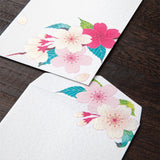Midori Envelope - Silk-Printing Cherry Blossom