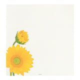 Midori Letter Pad - Sunflower