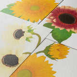 Midori Letter Pad - Sunflower