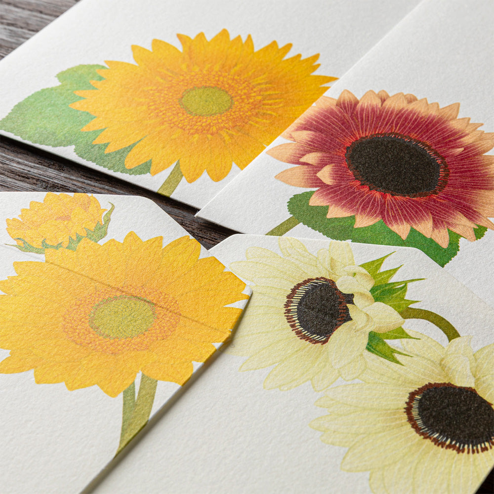 Midori Envelope - Sunflower