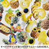 Hako Sticker Pineapple