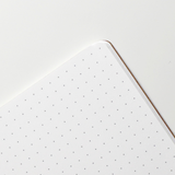 Tomoe River Notebooks B5