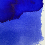Colorverse 15ml Korea Special Bottled Ink - Asiatic Dayflower