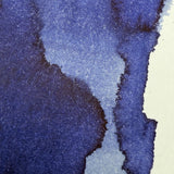 Colorverse Proxima B - 40ml Bottled Ink