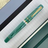 Delta Duna Fountain Pen - Vortex