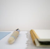 Delta Paestum Fountain Pen