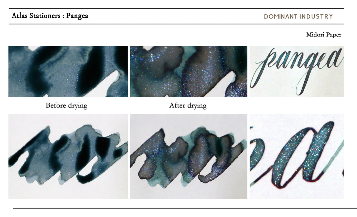 Dominant Industry Pangea  - 25ml Bottled Ink (Atlas Exclusive)