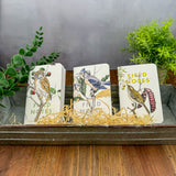 Field Notes Quarterly Edition - Birds and Trees of North America - Pack A (Special Edition)