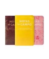 Field Notes Paletas Pack B cover, Pina Jamaica Fresas con Crema