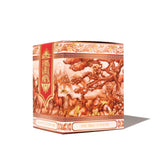 Ferris Wheel Press 2026 Lunar New Year - Eightfold Fortune - 20ml Bottled Ink (Special Edition)