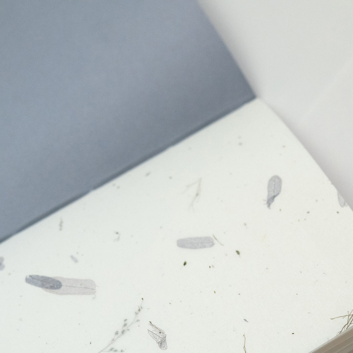 Haley Franker Design Pamphlet Notebook - Dotted