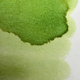 Lennon Tool Bar Maidenhair Fern - 30ml Bottled Ink