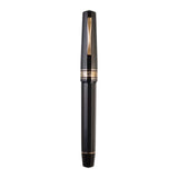 Omas The Paragon: 150625 Fountain Pen